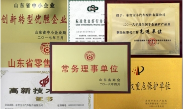 榮譽(yù)獎項(xiàng)